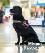 taxud-50-dog1.jpg taxud-50-dog1.jpg